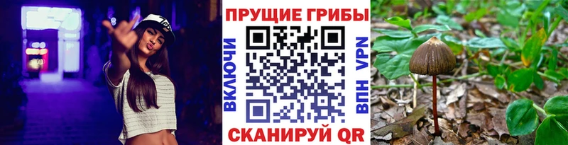 Галлюциногенные грибы GOLDEN TEACHER  Купить где  Югорск 